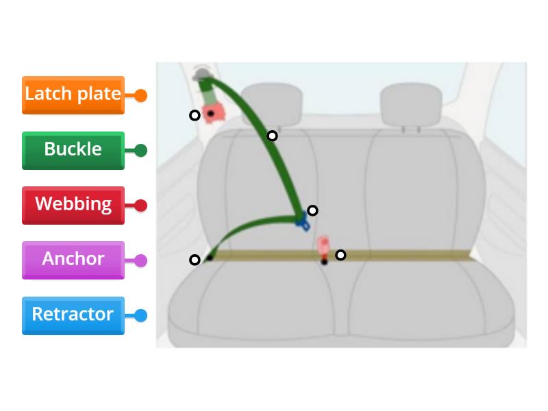 Parts of the Seat Belt - Labelled diagram