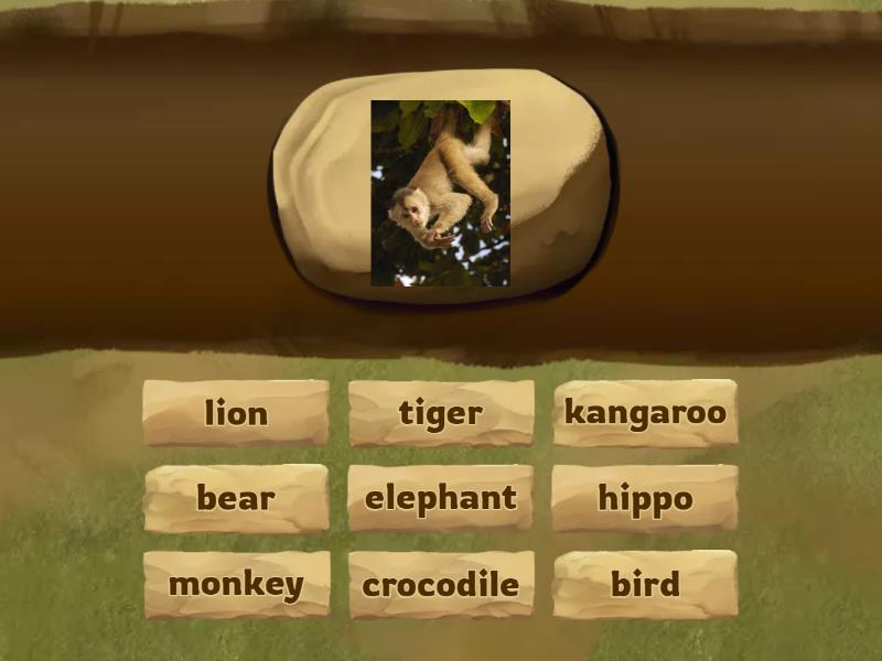 FF starter Unit 6 Animals (extra) - Find the match
