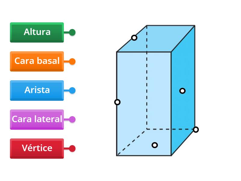 Partes prisma rectangular - Labelled diagram