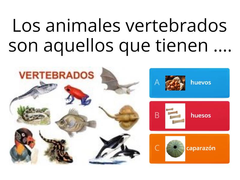 Los Animales Vertebrados - Cuestionario