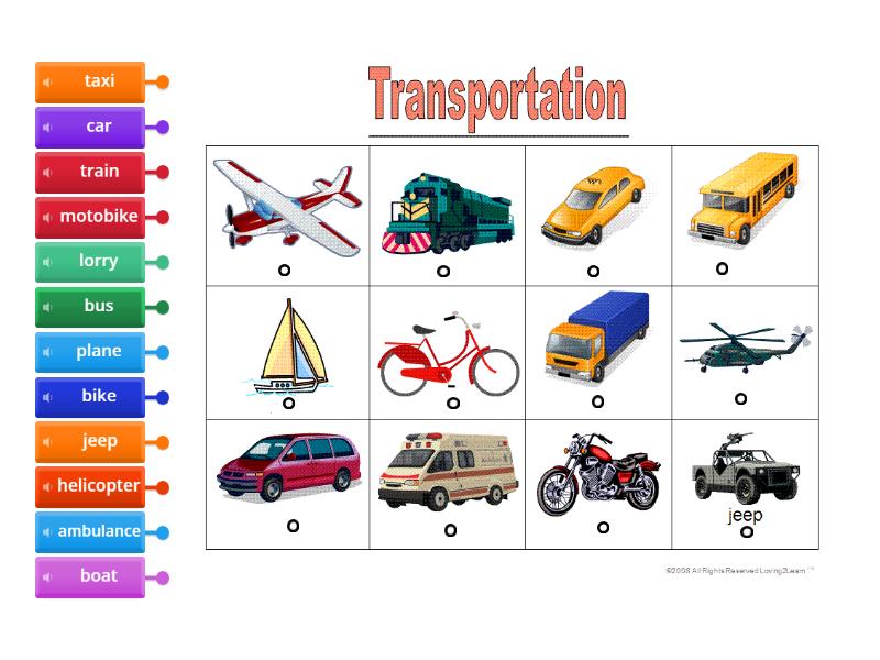 Transport - Labelled diagram