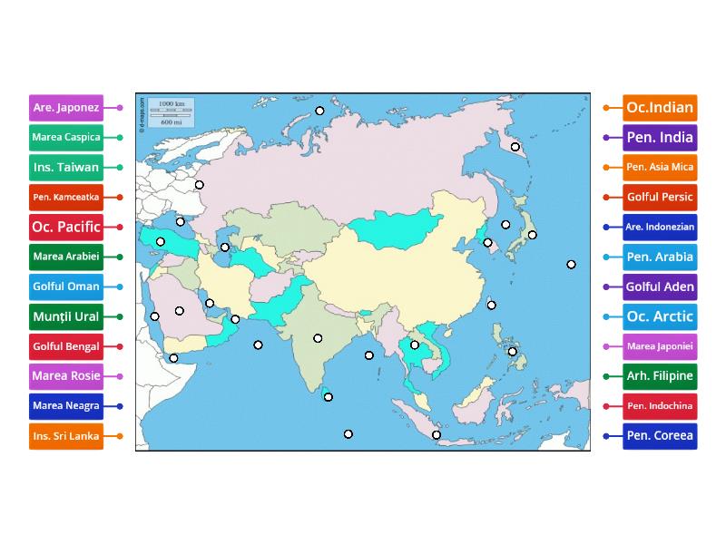 ASIA- TARMURI - Labelled diagram