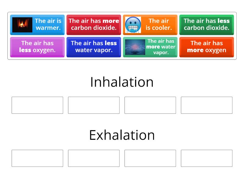 Differences between inhaled air and exhaled air - Group sort