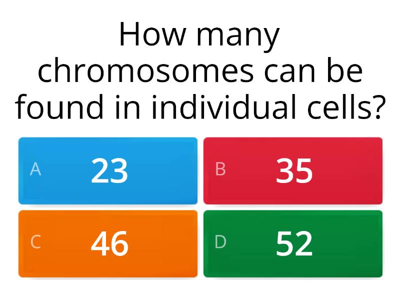 Chromosomes - Quiz