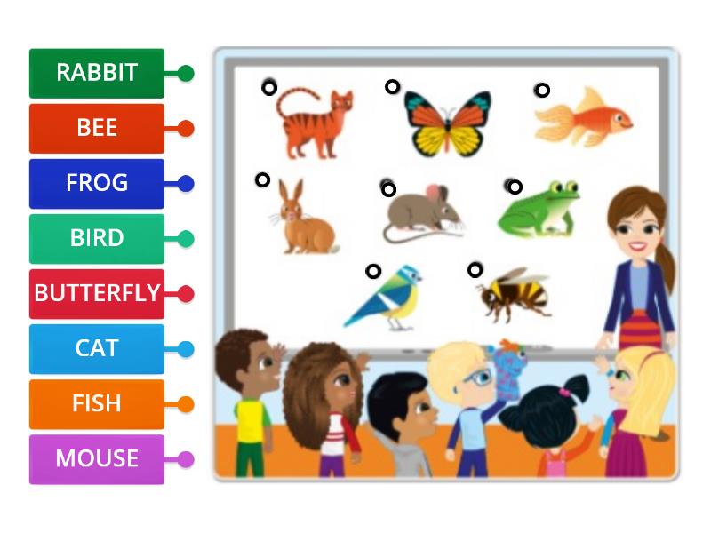 Whats Your Favourite Animal Labelled Diagram