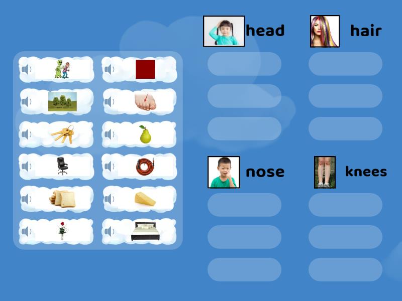 Rhyming Sort Body Parts Group sort