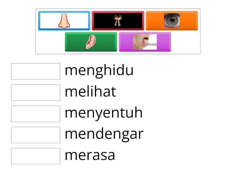 5 DERIA MANUSIA - Match up