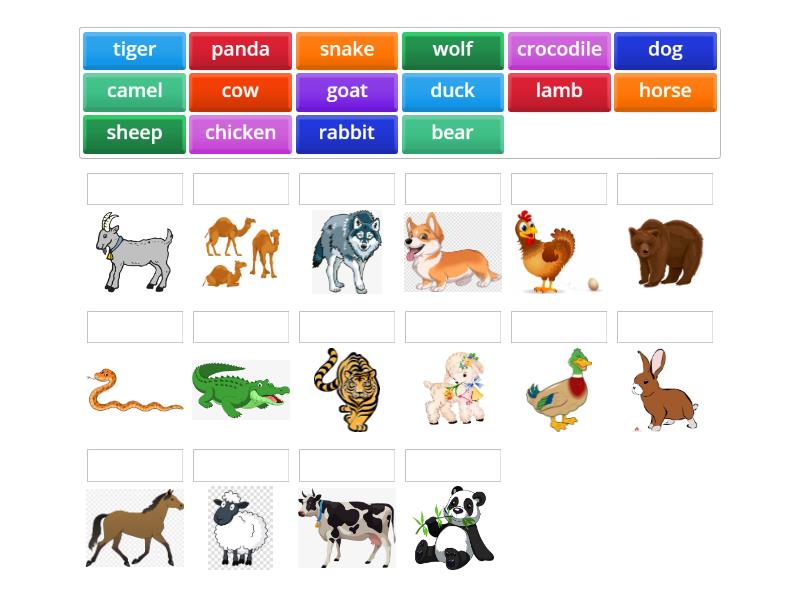 STORYFUN for STARTERS unit 6 animals review farm vs wild - Match up