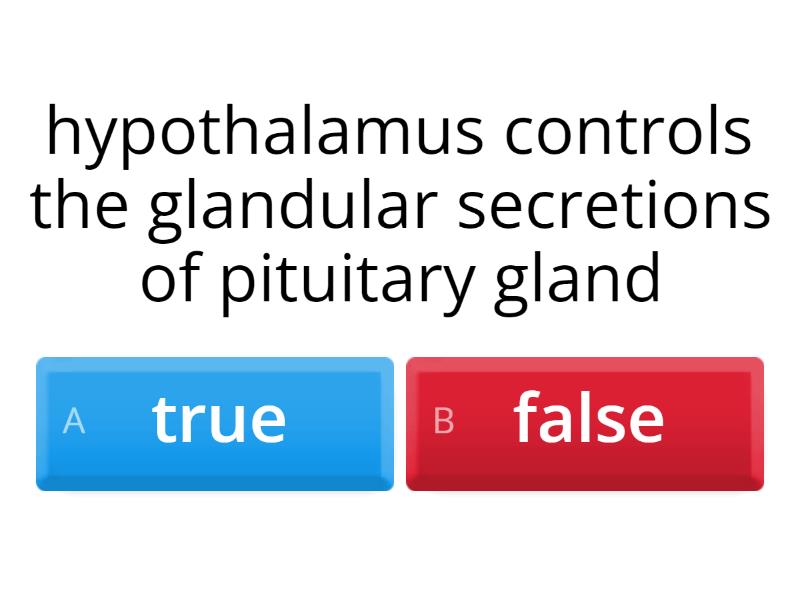 hypothalamus-and-pituitary-gland-quiz