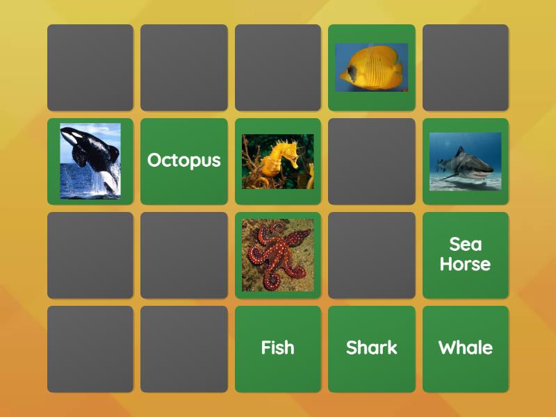 Memory Game Sea Animals - Matching pairs