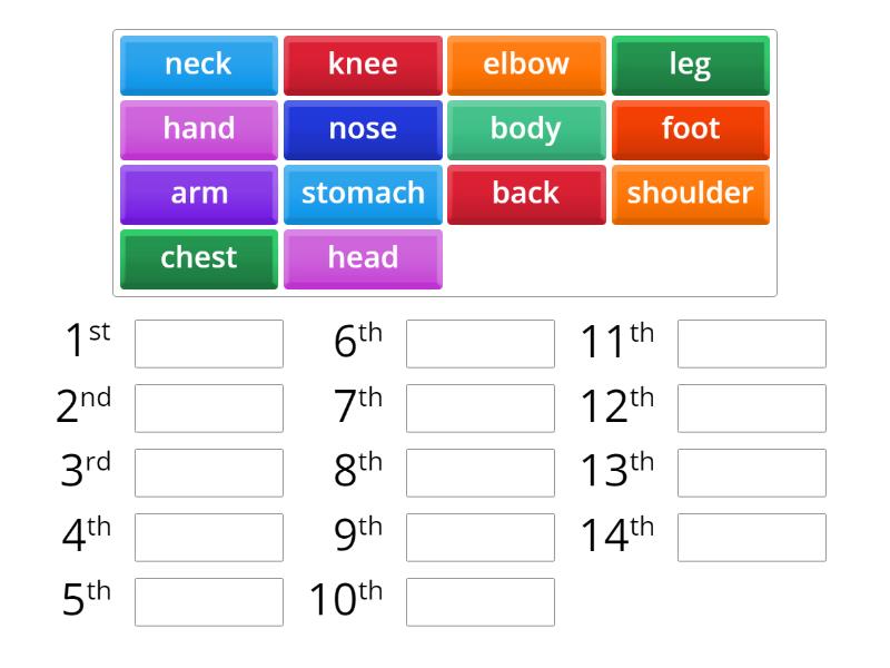 Body Parts Alphabetical Order Rank order