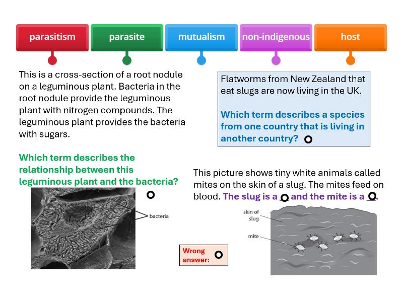 Mutualism, parasitism and indigenous / non-indigenous (parasite host ...