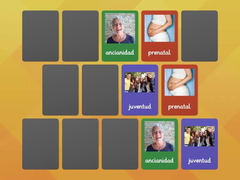 Etapas del Desarrollo Humano - Matching pairs