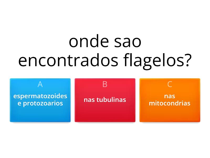 Organelas Citoplasmaticas - Questionário