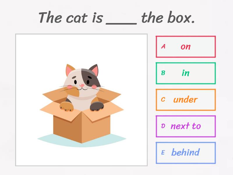 SP3_Mod6_Prepositions of place | The cat & the box - Quiz