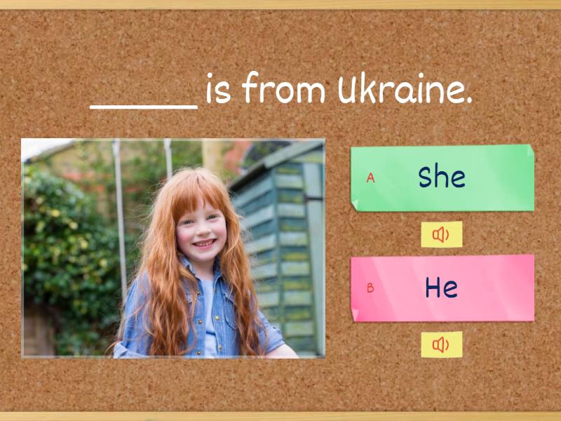 He/she - Quiz