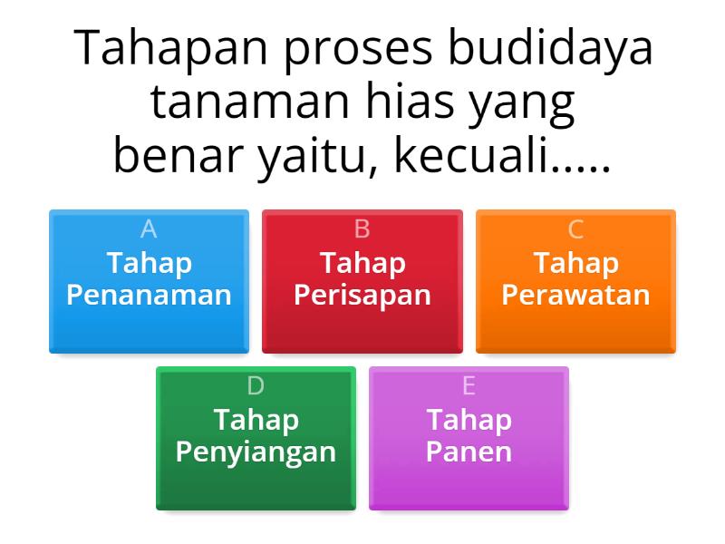 Budidaya Tanaman Hias - Quiz