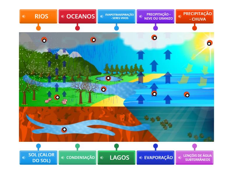 O Ciclo Da Gua Ping A Gotinha De Gua Diagrama Con Etiquetas