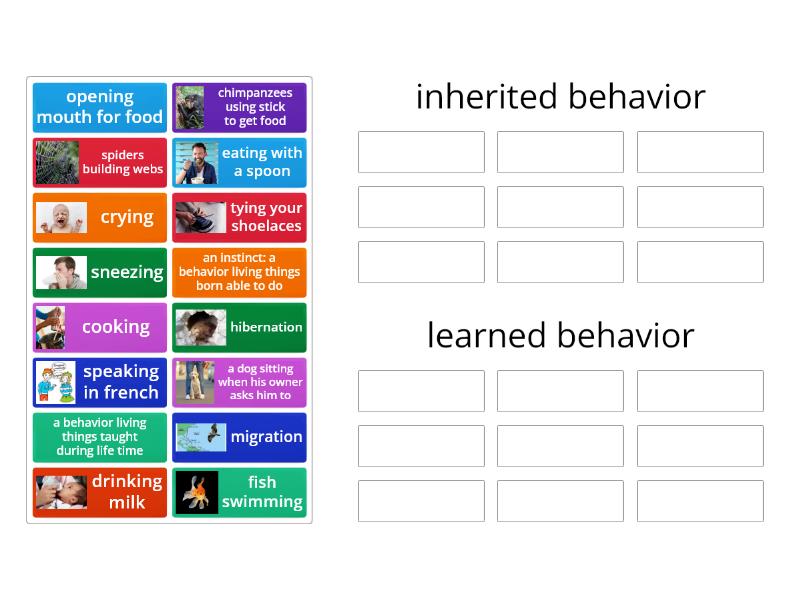 Learned And Inherited Behavior Group Sort