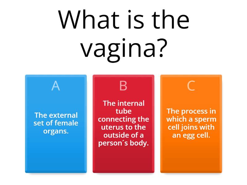 The Reproductive System - Quiz