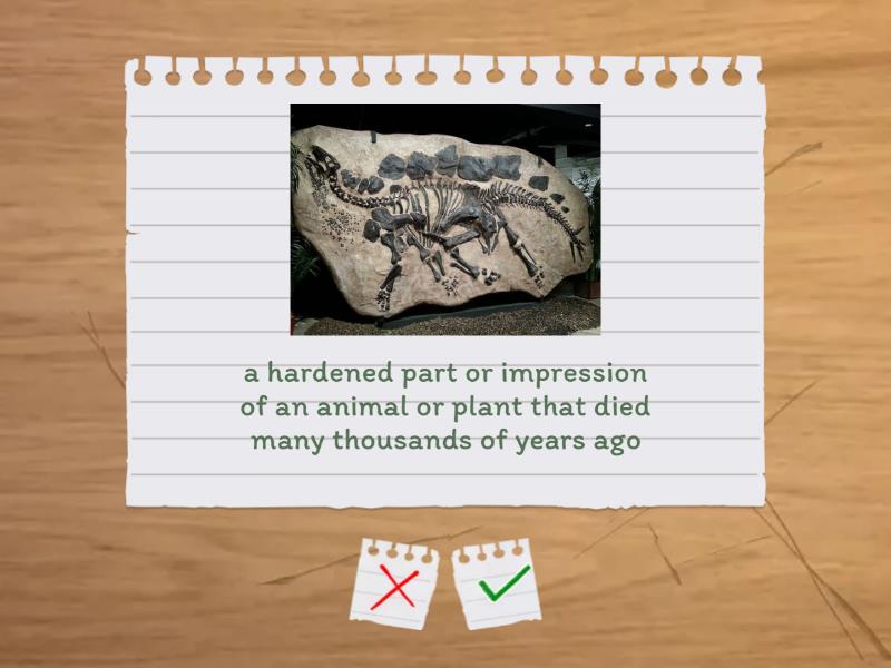 Materials And Fossils - Flash Cards