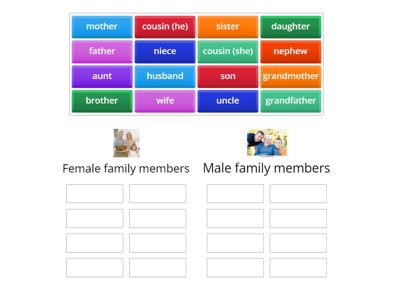 Wider World 1, Unit 1, Family - Group Sort