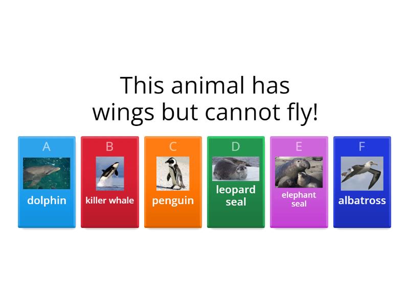 Animals and Habitats (Antarctica Edition) - Quiz