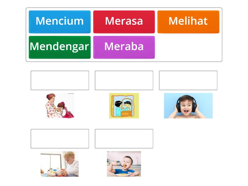 Mencocokan Kegiatan sehari - hari dengan Fungsi Panca Indra - Match up