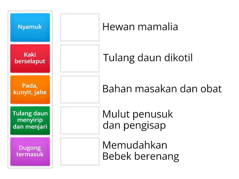 Bagian tubuh hewan, tumbuhan, SDA - Match up