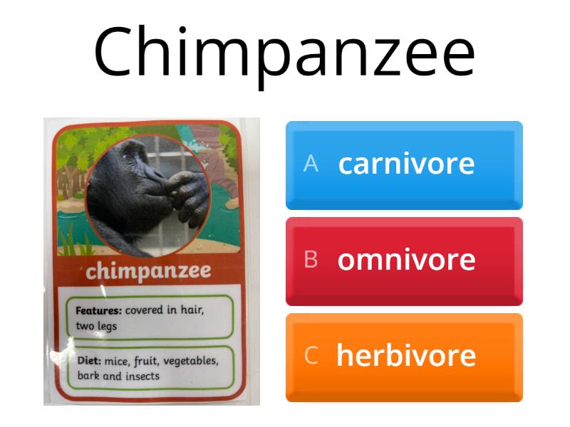 Carnivores, omnivores and herbivores - 測驗
