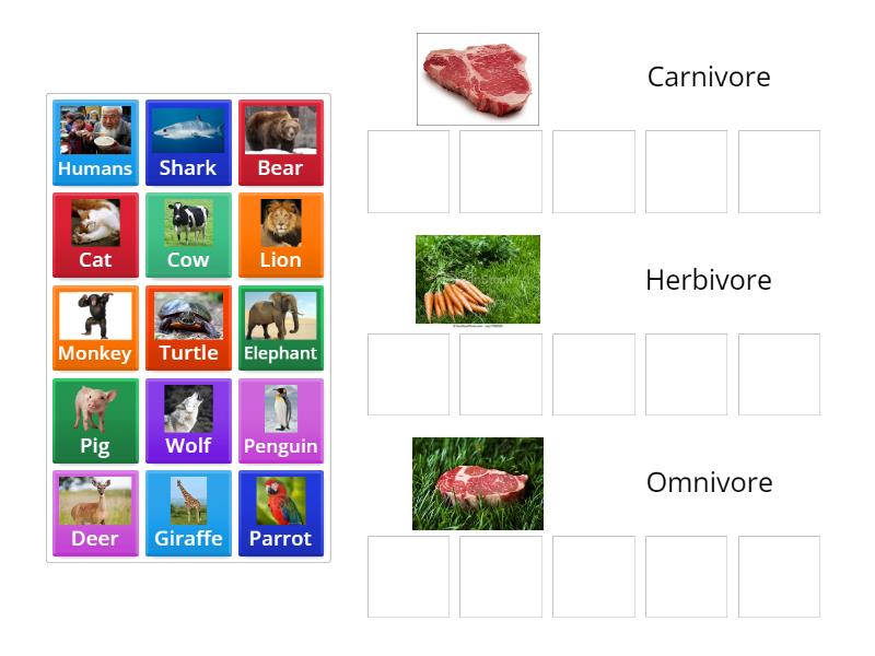 Carnivore, herbivore, or omnivore? - Group sort