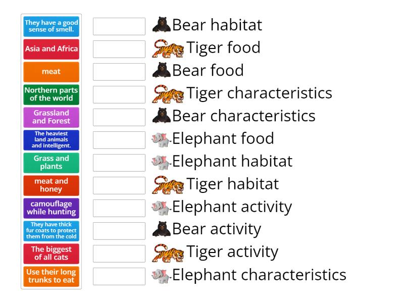 DESCRIPTIVE TEXT - Match up
