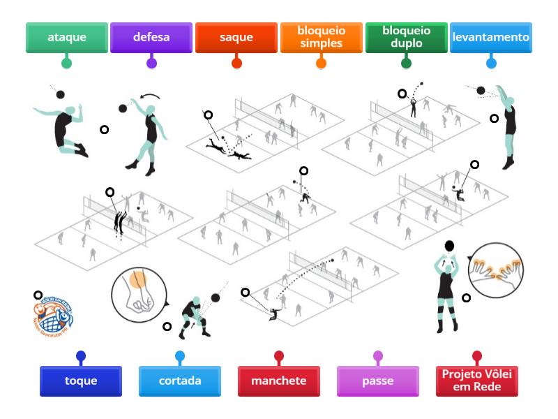 Fundamentos do Voleibol - Labelled diagram