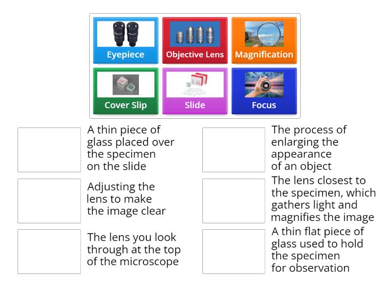 Microscope - Match up