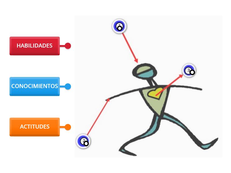 PARTES DE UNA COMPETENCIA - Labelled diagram