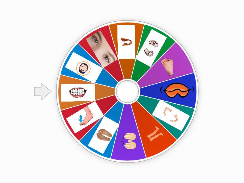 Body Parts spin - Spin the wheel