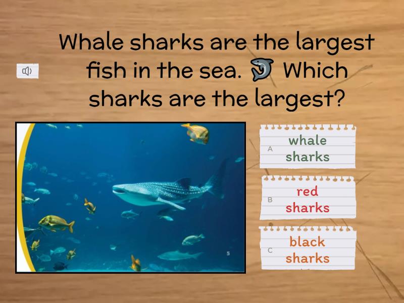 Whale Sharks - Comprehension - Quiz