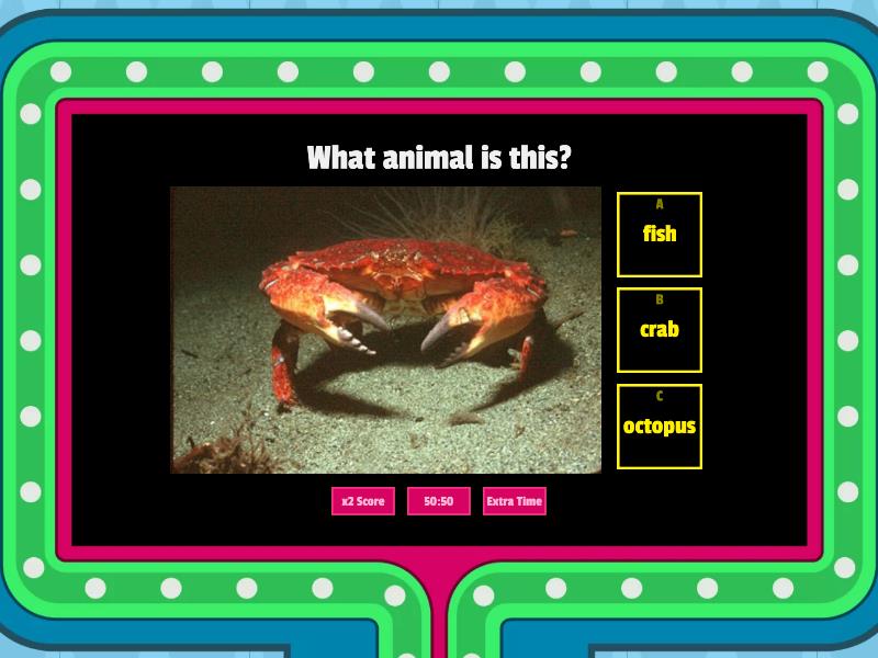 Sea animals gameshow quiz