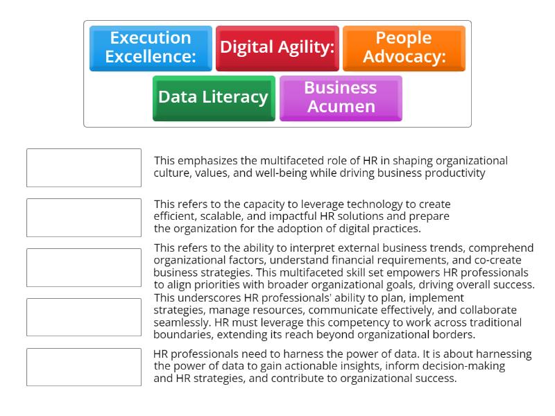 t shaped hr competency model