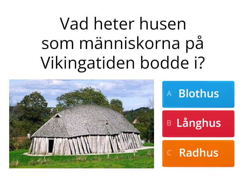 Vikingatiden (Inför Prov) - Test