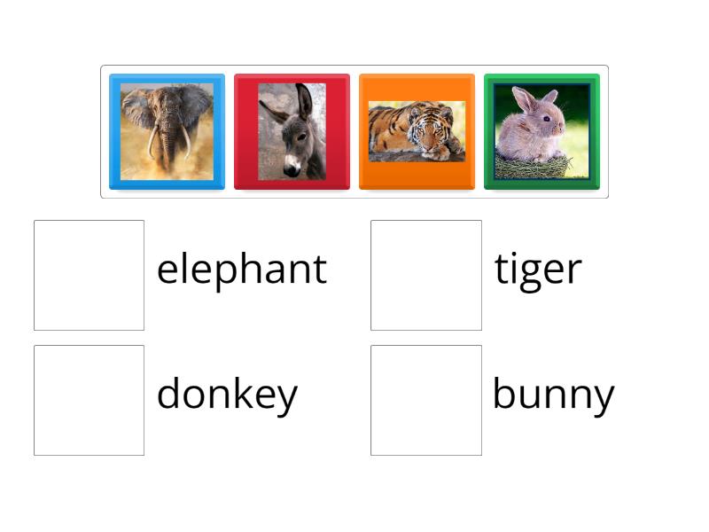 Matching activity - Match up
