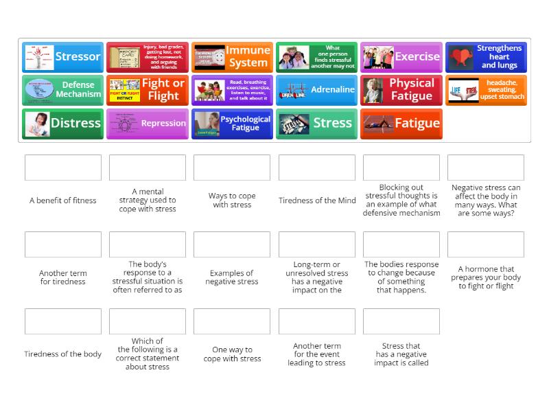 Stress Management (6th Grade) - Match up