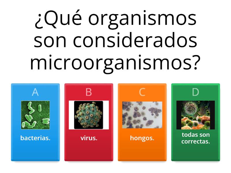 Explorando El Reino De Los Microorganismos - Quiz