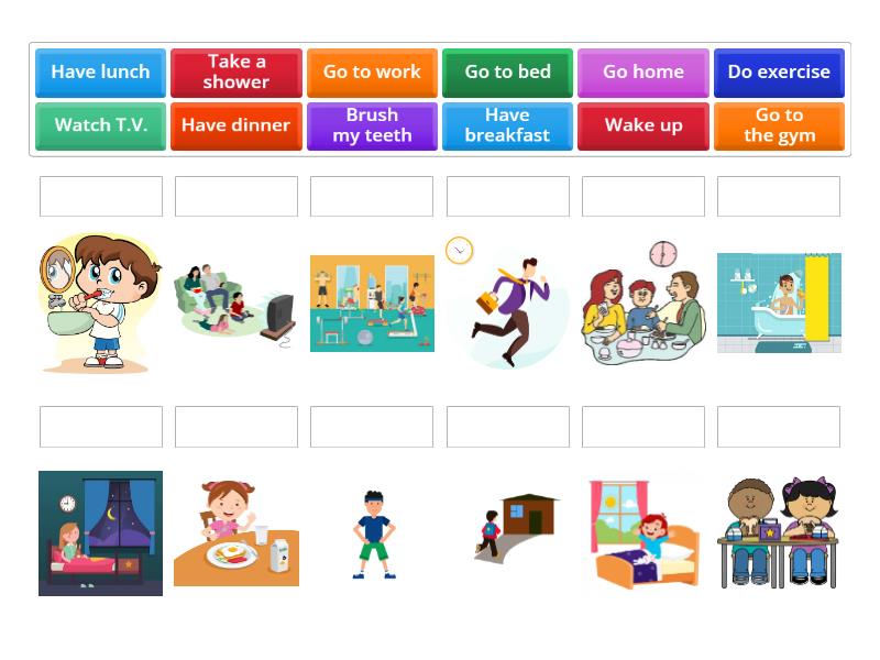 Daily routines - Match up