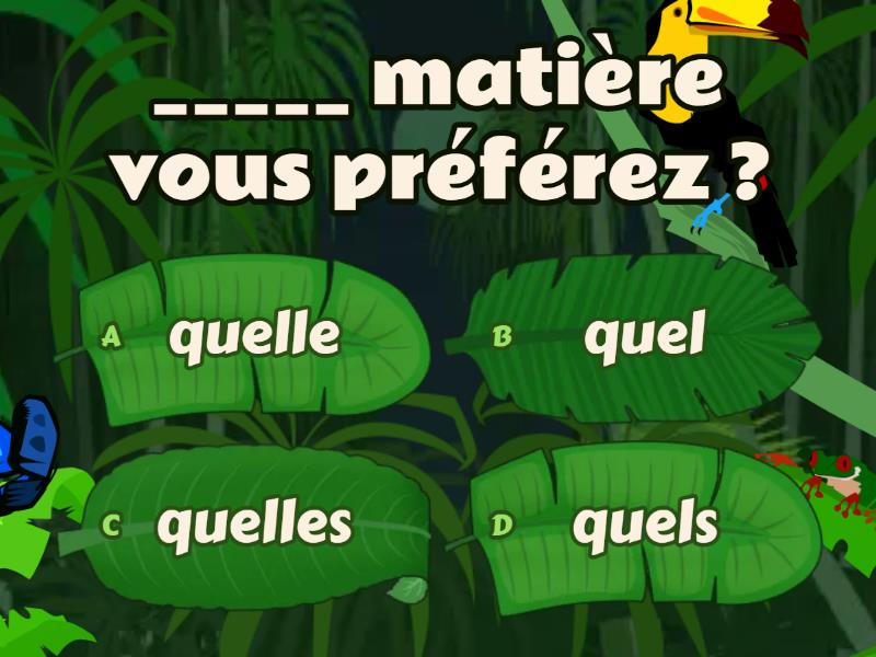 Quel, Quelle, Quels Ou Quelles ? - Quiz