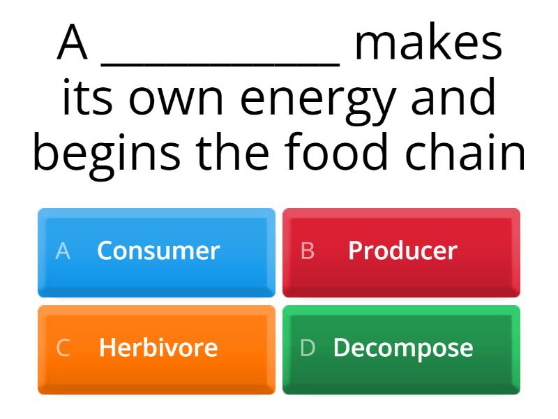 food-chain-and-food-web