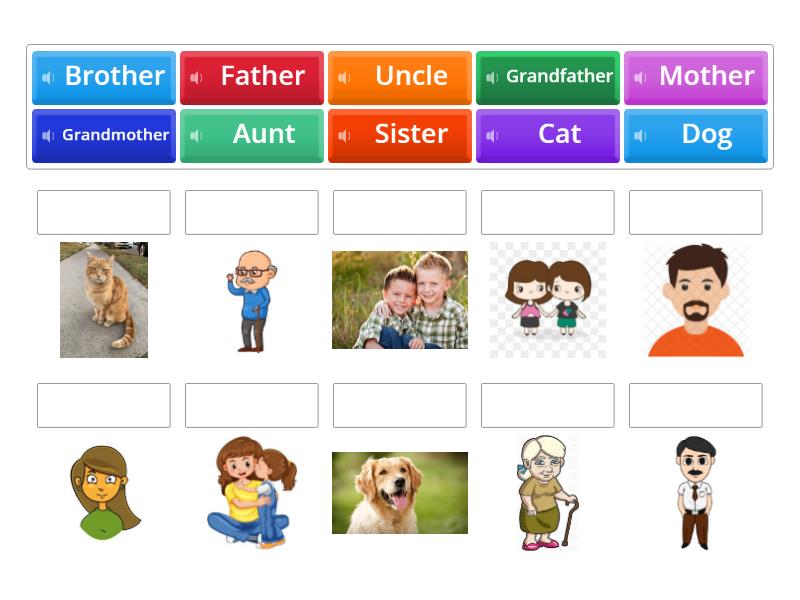Family - Match up