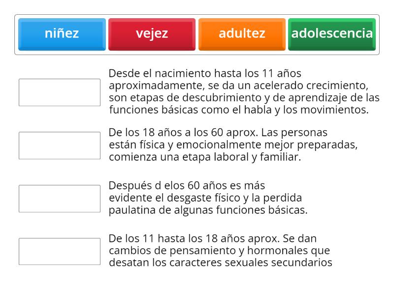 etapas del desarrollo humano - Match up