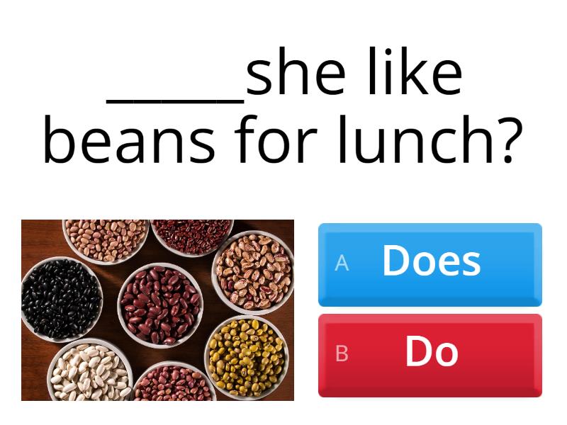 Lesson 3 Do Does Quiz