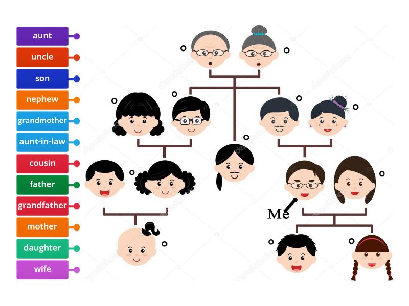 member-of-family-labelled-diagram